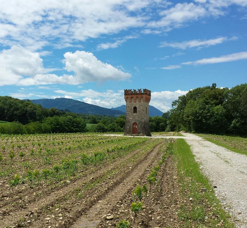 Agriturismo Casteldardo Guest House Trichiana Екстериор снимка